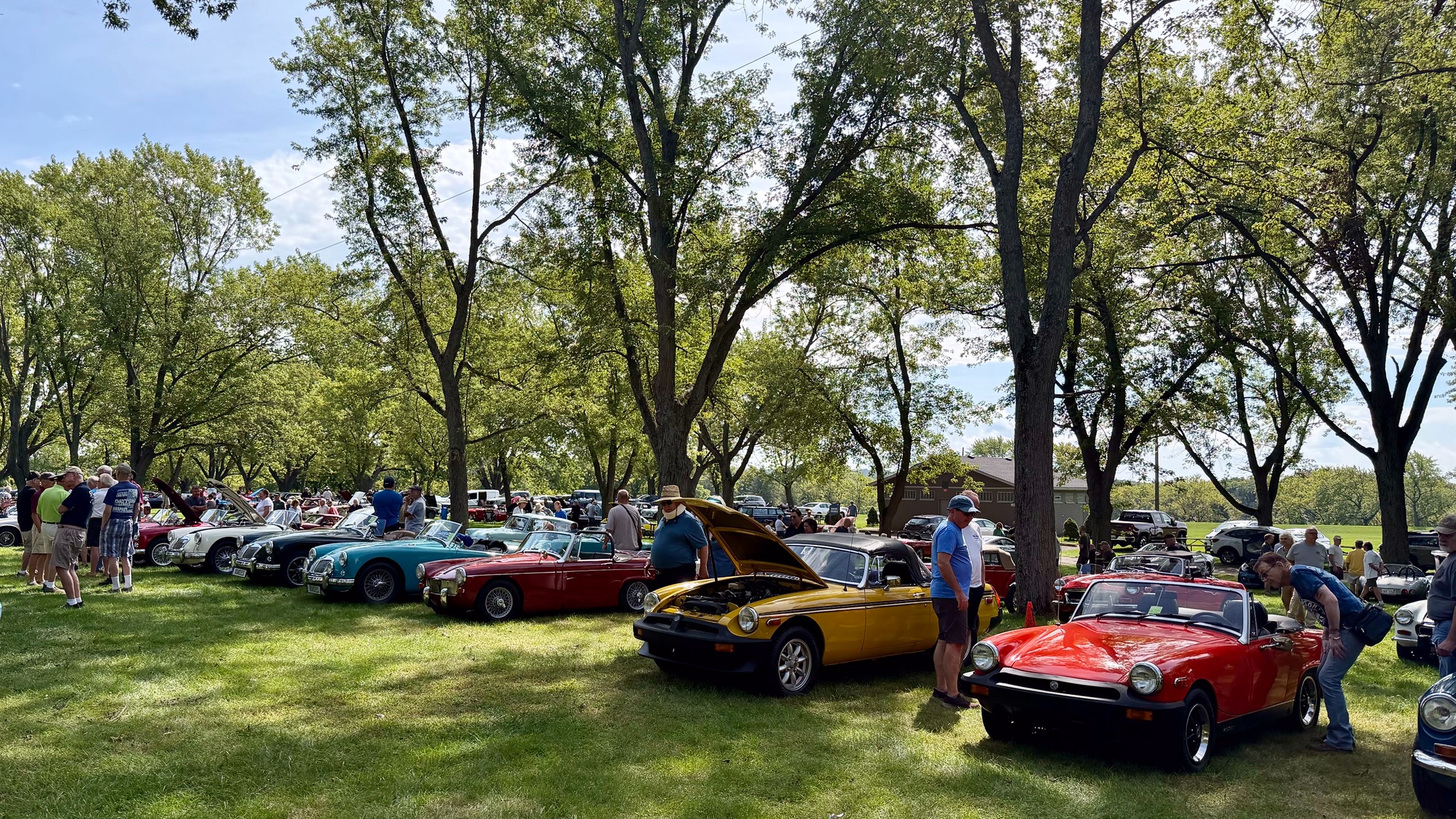 Photograph of brightly colored MGBs, MGAs and MG Midgets on a field in the shade under trees.