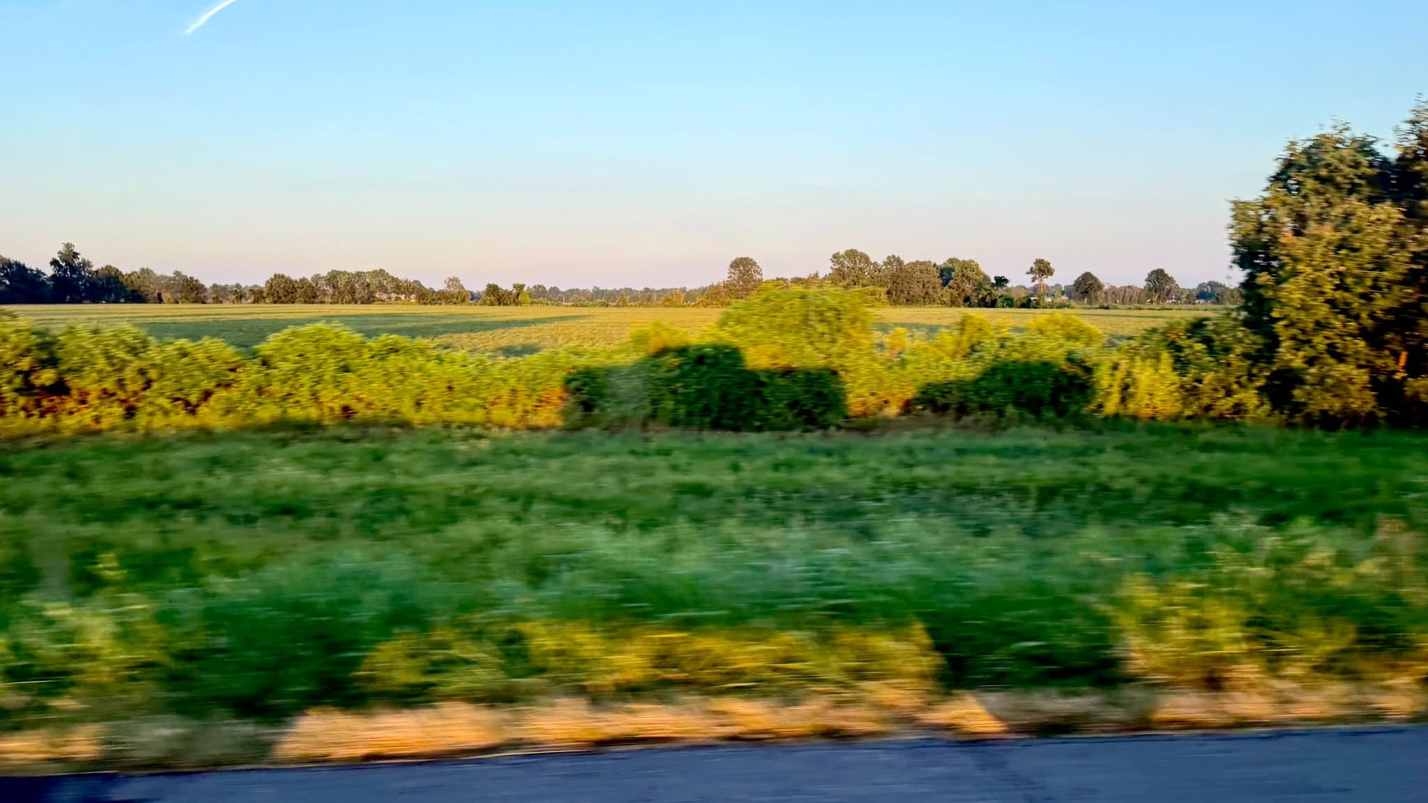 Photograph of the shadow of a pickup truck hauling an MGB GT sports car on a trailer with the shadow evident on a row of bushes and farm fields behind.