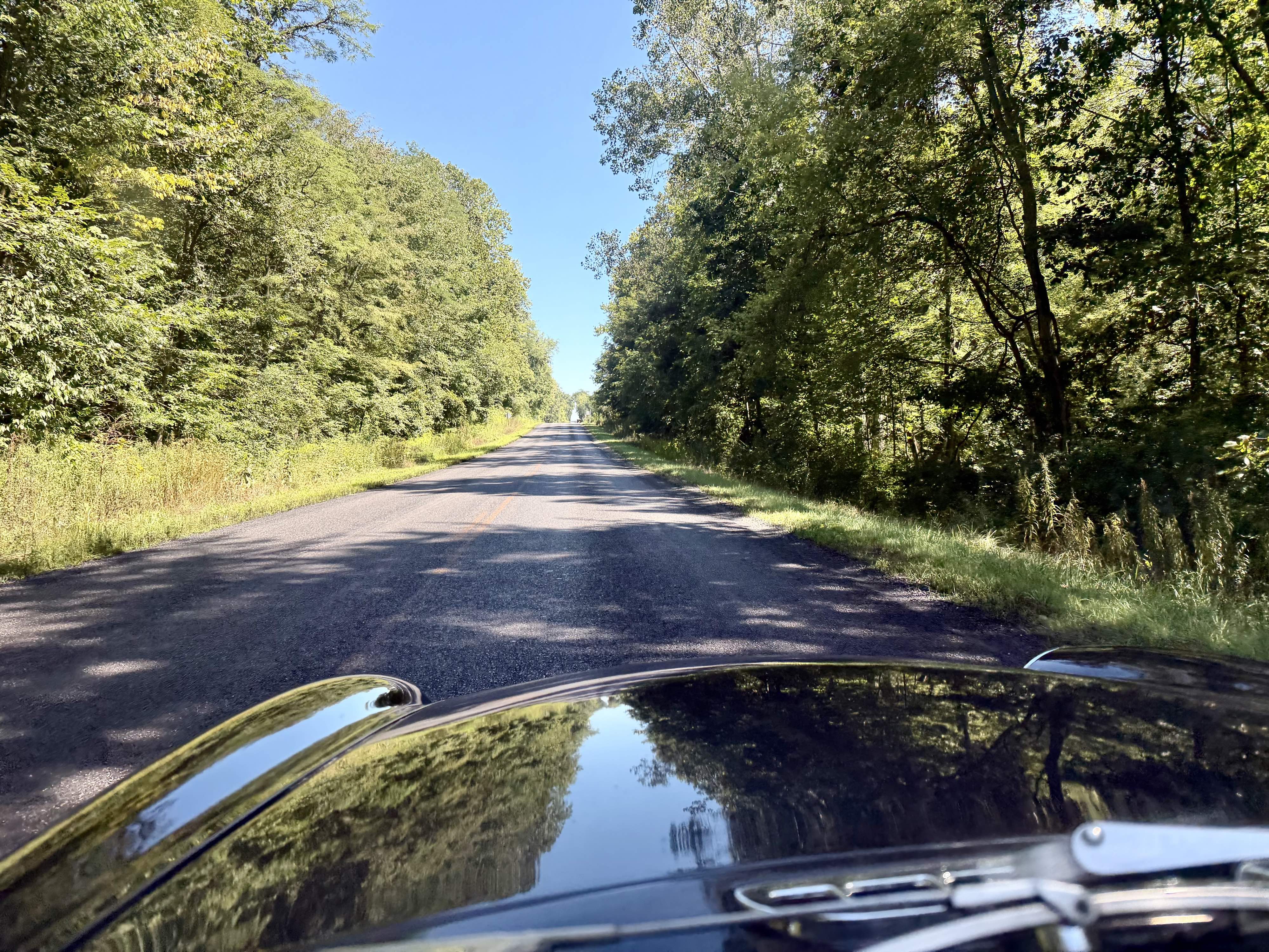 Photograph of a wooden road on a sunny day as seen while looking down the hood of a black MGB roadster. ￼