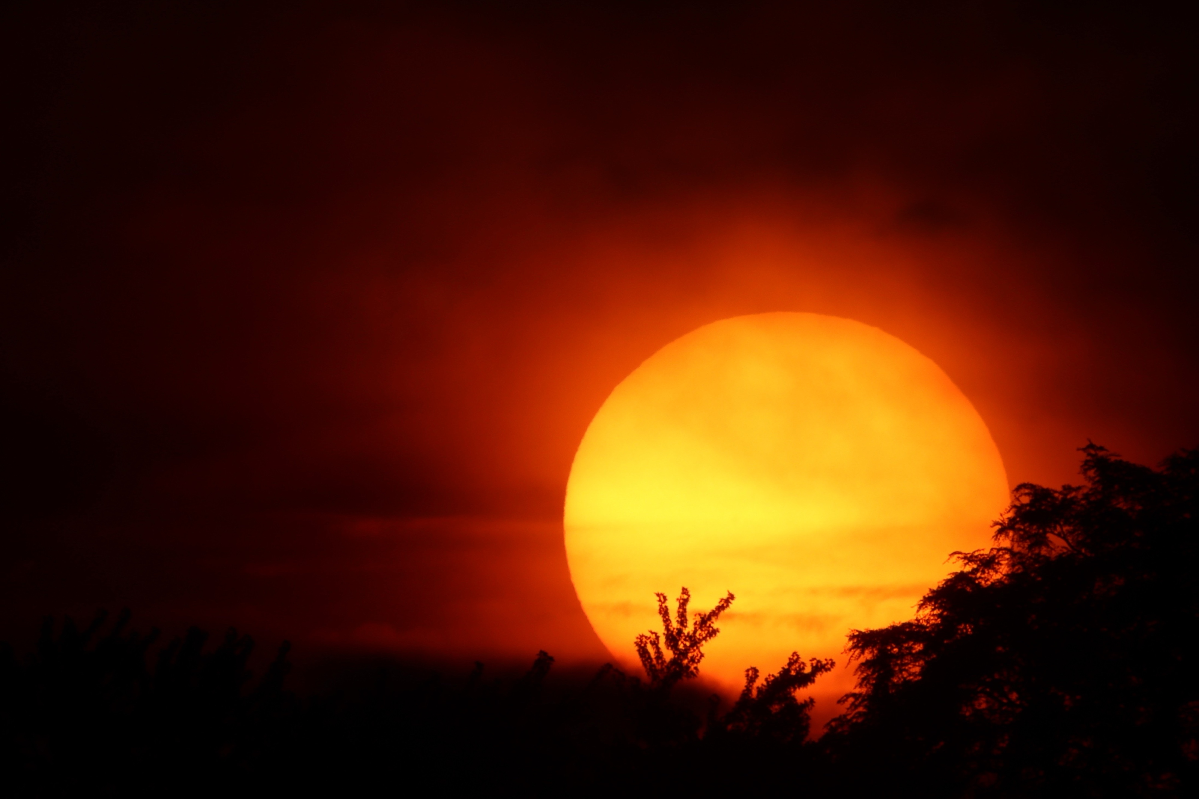 Sunset photo of a large yellow Sun setting into trees in silhouette with red clouds and shadows behind.