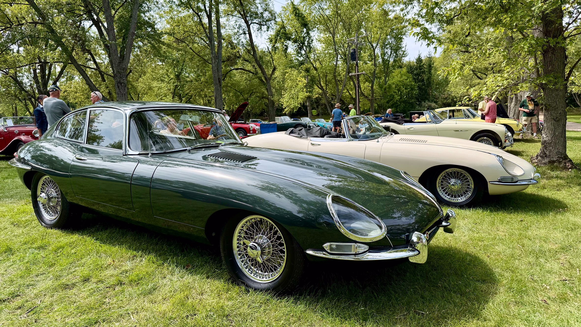 A pair of Jaguar E-Type sports cars on a lawn with other old cars behind: a green coupe in front and a white roadster behind.